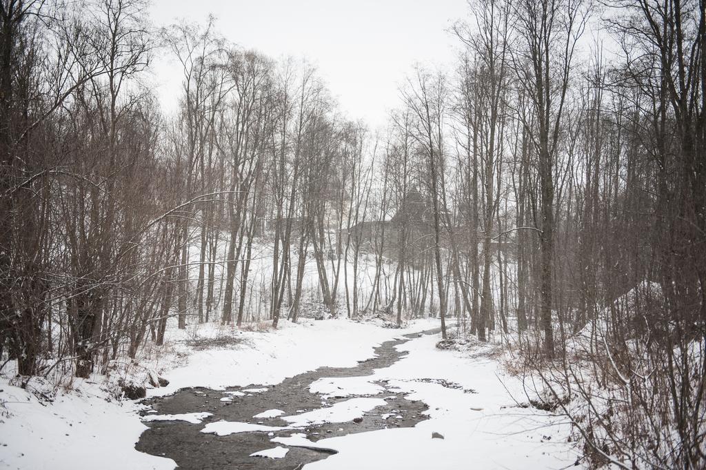 Willa Lano Biały Dunajec Oda fotoğraf