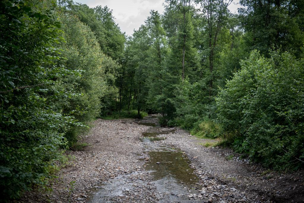 Willa Lano Biały Dunajec Dış mekan fotoğraf